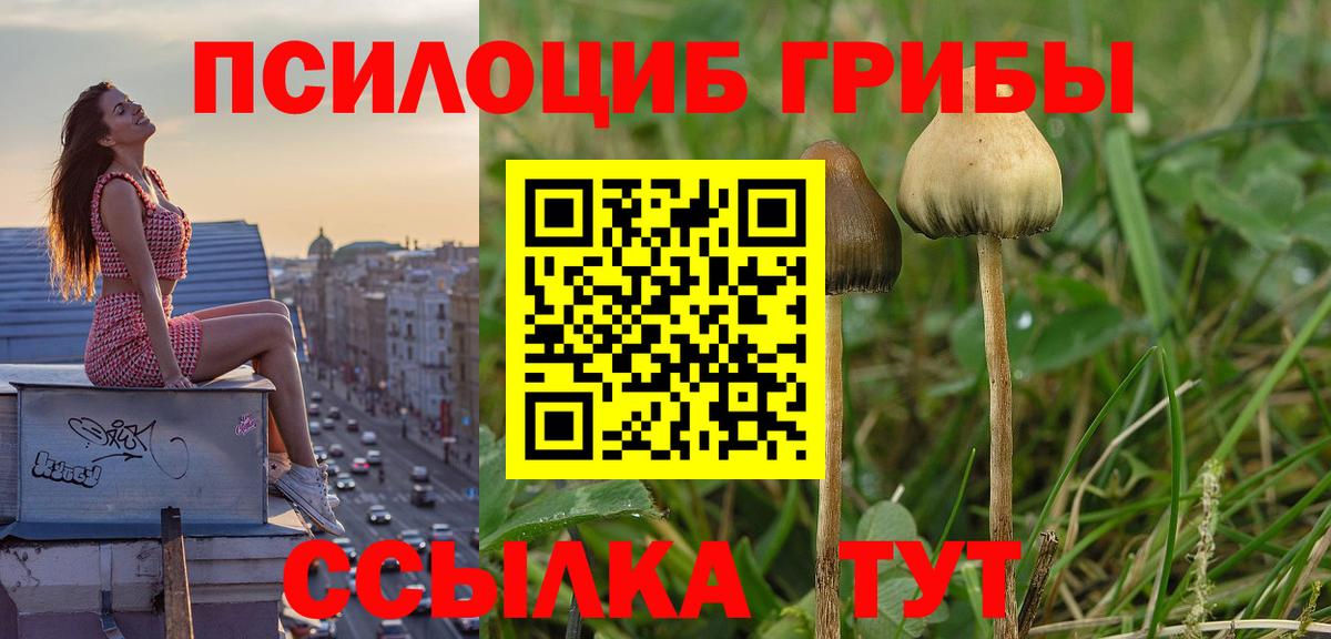 Псилоцибиновые грибы MAGIC MUSHROOMS Можга