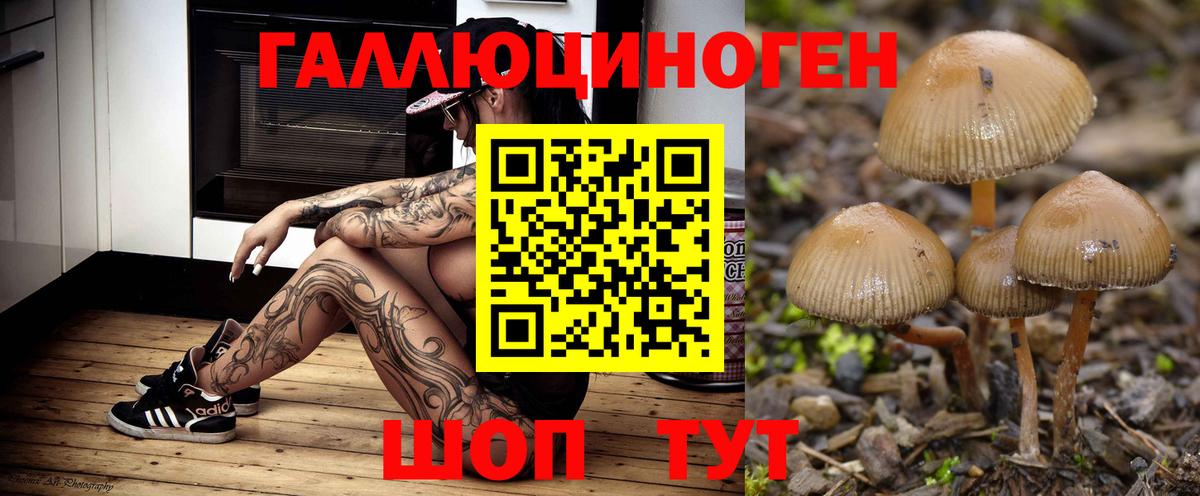 Галлюциногенные грибы мицелий  Галлюциногенные грибы Psilocybine cubensis  Вход с VPN  Можга 